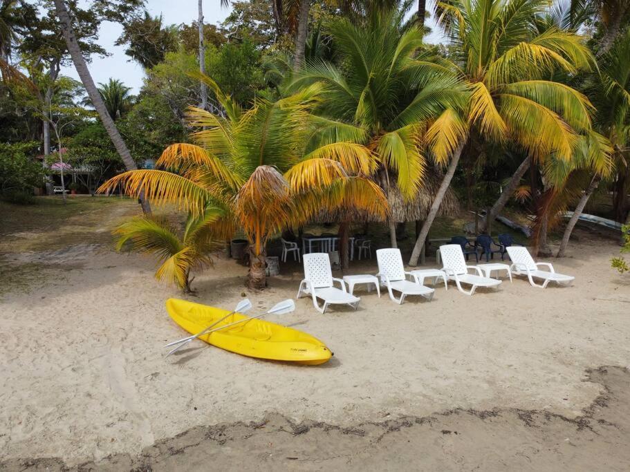 Casita Caribe En Reserva Natural, Playa Privada, Kayaks, Wifi, Aire Acondicionado San Onofre Luaran gambar